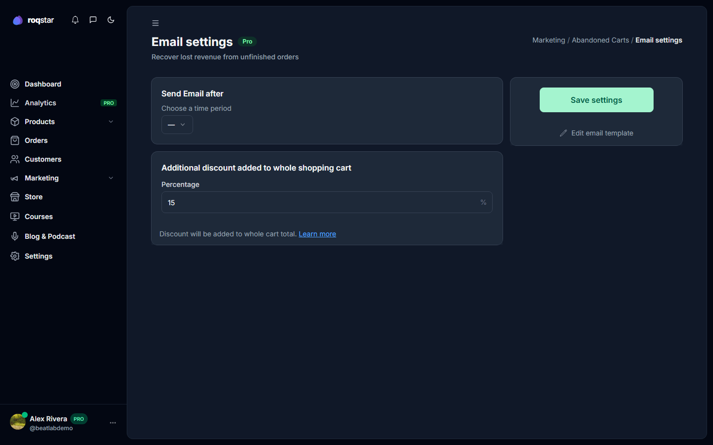 Abandoned cart email delay and discount fields.