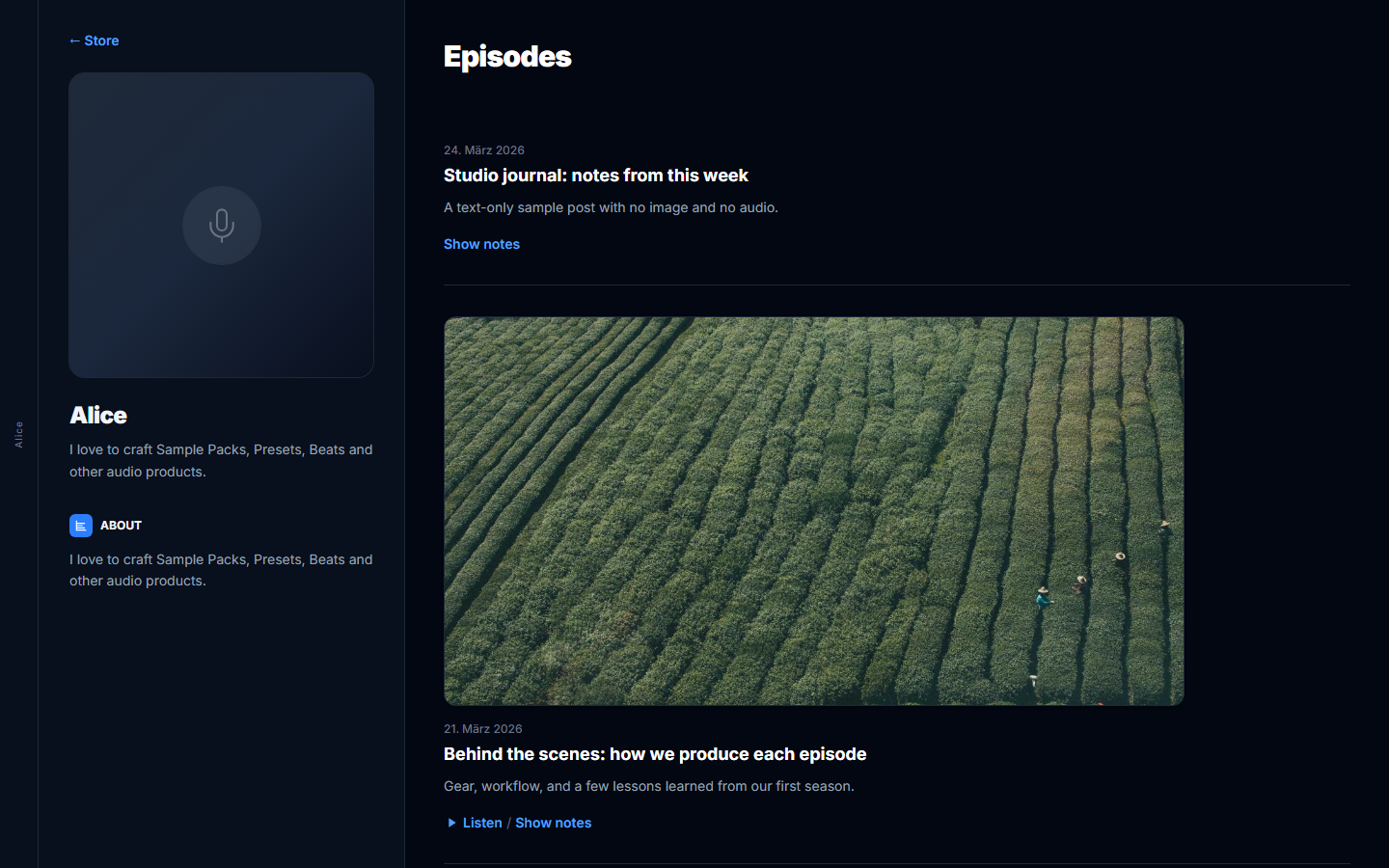 Store blog or podcast episodes list on the public storefront.